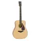 Yamaha FG800M NAT