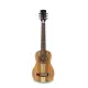 APC TR200 Koa ST