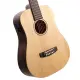 Cort Earth Mini E Adirondack