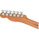 Fender Acoustasonic Player Telecaster RW BRSH BK