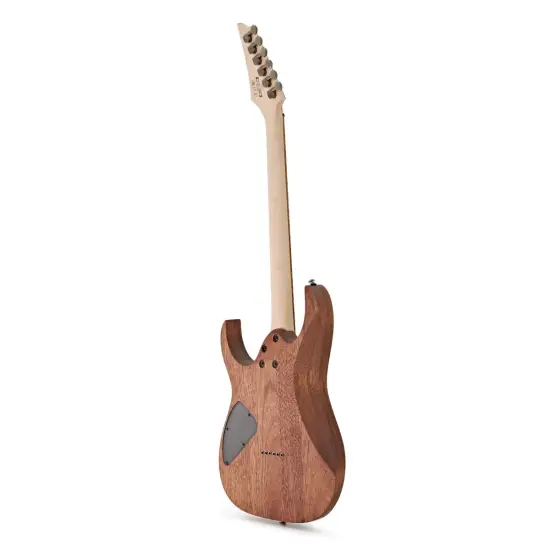 Ibanez Standard RG421 MOL