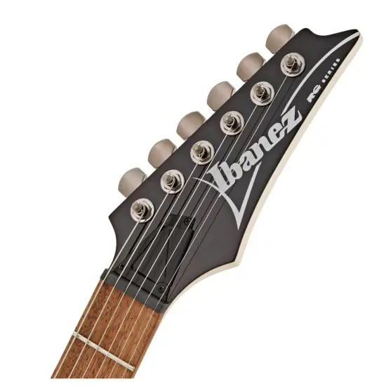 Ibanez Standard RG421 MOL