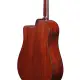 Ibanez AAD400CELGS