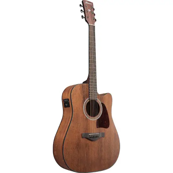 Ibanez Artwood AW54CE Open Pore Natural