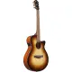 Ibanez AEG50 DHH