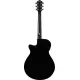 Ibanez AEG50 BK