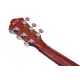 Ibanez AEG50L BKH