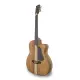 APC GA 300 Koa