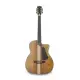 APC GA 300 Koa