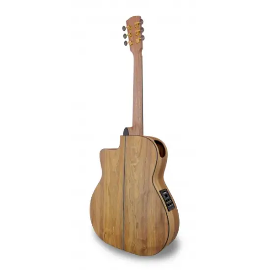 APC GA 300 Koa