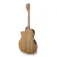 APC GA 300 Koa