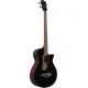 Ibanez AEGB24E BKH
