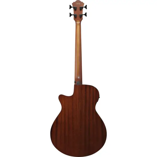 Ibanez AEGB24E BKH