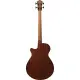 Ibanez AEGB24E BKH