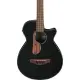 Ibanez AEGB24E BKH