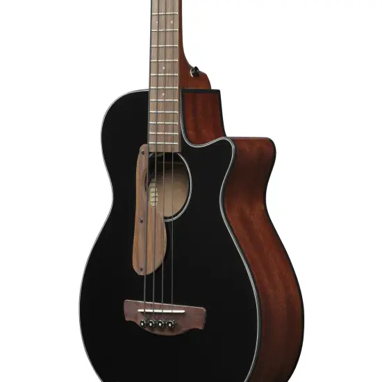 Ibanez AEGB24E BKH