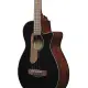 Ibanez AEGB24E BKH