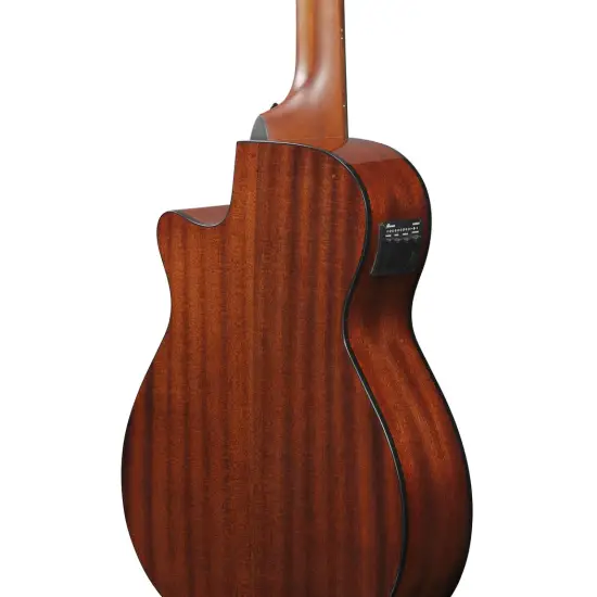 Ibanez AEGB24E BKH