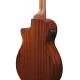 Ibanez AEGB24E BKH