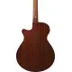 Ibanez AEGB24E BKH