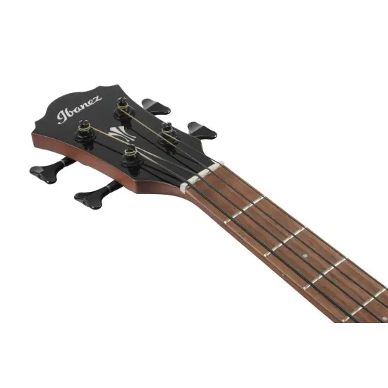 Ibanez AEGB24E BKH