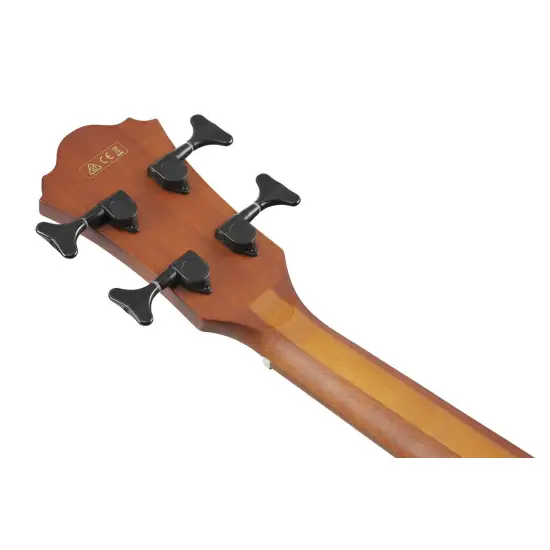Ibanez AEGB24E BKH