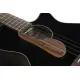 Ibanez AEGB24E BKH