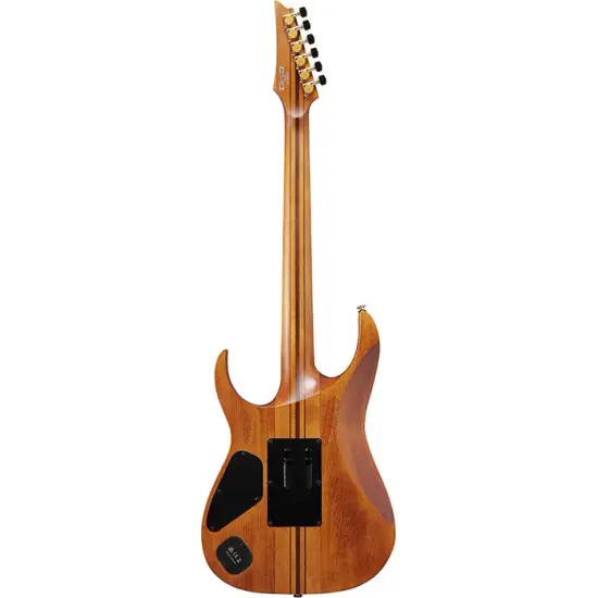 Ibanez Premium RGT1220PB Antique Brown Stained