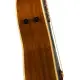 Fender Newporter Player WN Tidepool