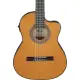 Ibanez 3/4 Classical Series GA5TCE3Q Amber High Gloss