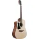 Ibanez V Series V40LCE Open Pore Natural