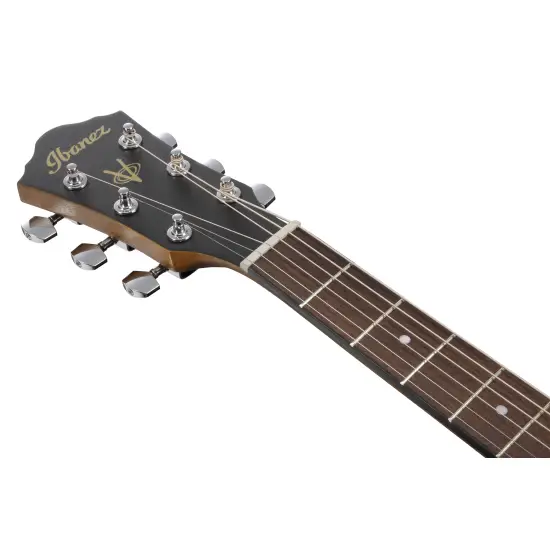 Ibanez V Series V40LCE Open Pore Natural