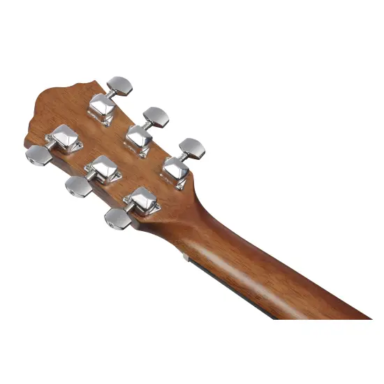 Ibanez V Series V40LCE Open Pore Natural