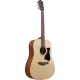 Ibanez V Series V40 Open Pore Natural