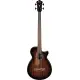 Ibanez AEGB24FE Mahogany Sunburst High Gloss