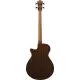 Ibanez AEGB24FE Mahogany Sunburst High Gloss