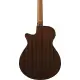 Ibanez AEGB24FE Mahogany Sunburst High Gloss