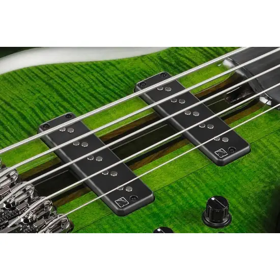 Ibanez Steve Di Giorgio Signature SDGB1 Dark Moss Burst