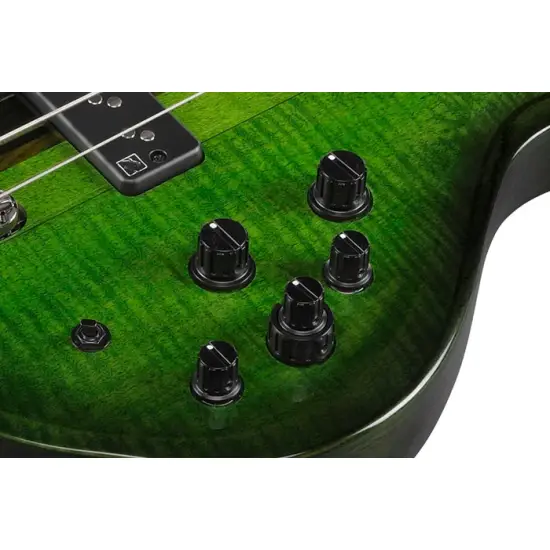 Ibanez Steve Di Giorgio Signature SDGB1 Dark Moss Burst