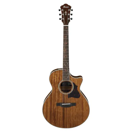 Ibanez AE245 NT