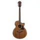 Ibanez AE245 NT