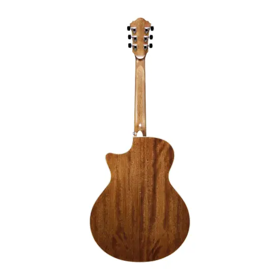 Ibanez AE245 NT