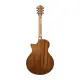 Ibanez AE245 NT