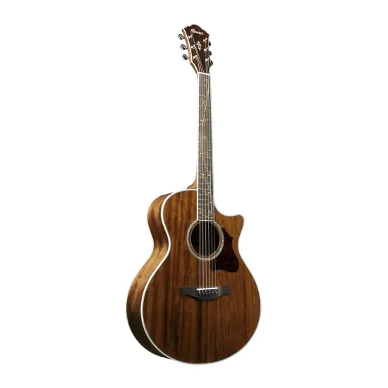 Ibanez AE245 NT