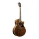 Ibanez AE245 NT