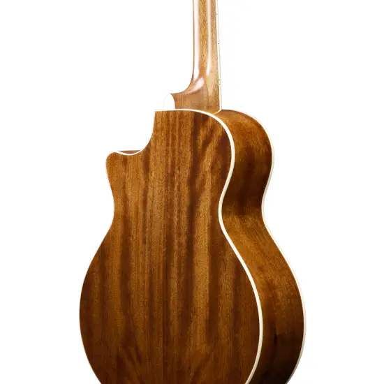 Ibanez AE245 NT