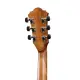 Ibanez AE245 NT