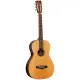 Tanglewood Java TWJP E