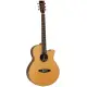 Tanglewood Java TJ4 CE