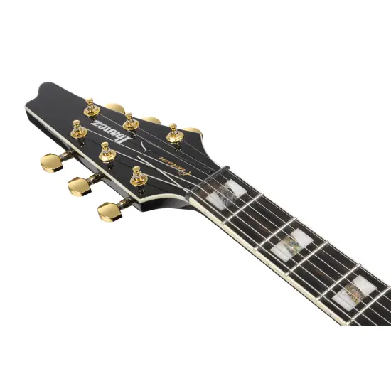 Ibanez Paul Gilbert FRM350 Black